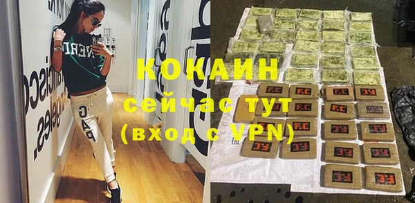 мдпв Касимов