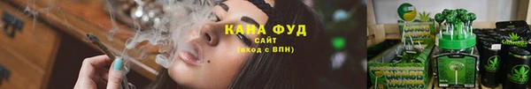 мдпв Касимов