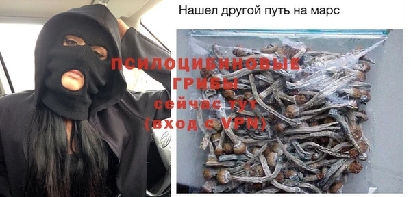 мдпв Касимов