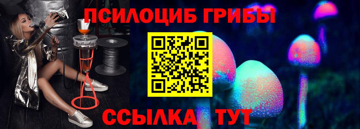 Псилоцибиновые грибы Cubensis Лабинск